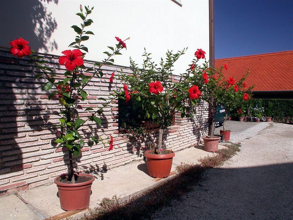 Heviz Therme Apartmenthaus Luaran gambar